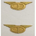 Símbolo CP com asas